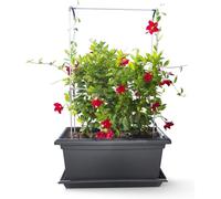 Gardenico Self-Watering Mobile Living Wall Kit - 100cm - Anthracite