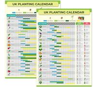 Gardening & Allotment Planting Calendar - Reusable Year-Round Seed Sowing & Harvest Guide - Waterproof Poster for Greenhouse or Shed - Perfect for Gardeners (Multicoloured, A3)