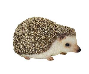 Gardening Delights Pet Pals Pygmy Hedgehog