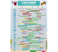 Gardening Flower Growing Planner Poster - A3 Size & Laminated - Calendar Planner Gantt Chart for Crops, Fruit, Veg, Allotment