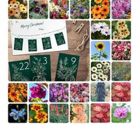 Gardening Gifts Flower Seed Advent Calendar - 24 Hand-Selected Flower Varieties - Unique Gardening Gift for Christmas - Fun Grow Kit for Garden Lovers by Thompson & Morgan