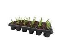 Gardening Naturally 9cm Plant Pots with Shuttle Tray Set 18 Pot Carry Tray Propagation Pots for Seedlings Herbs Bedding Plants Greenhouse Growing Transport Set (5 x Shuttle Trays with 90 Pots)