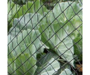 Gardening Naturally Anti Bird Netting Black For Gardens & Allotments- 8M Width (26Ft 2In) 5M Length (16Ft 5In) Mesh 20mm