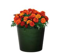 Gardening Naturally Banyan Recycled Ceramic-Effect Planter - UV and Frost Resistant, 35.5cm x 40cm By Flowersea (Deep Green)