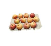 Gardening Naturally Biodegradable Apple Trays 12 Compartments For Picking Storing And Transporting Apples