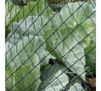 Gardening Naturally Black Bird Netting 2M X 10M - Pack