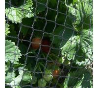 Gardening Naturally Black Bird Netting 4M X 10M - Pack