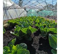 Gardening Naturally Black Bird Netting 8 X 10M - Pack