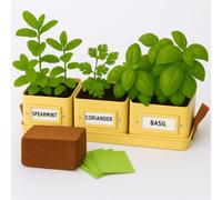 Gardening Naturally Buttercream Complete Kit With Herbs