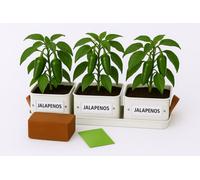 Gardening Naturally Complete Chilli Pots Set Of 3 - Dove Grey