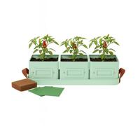 Gardening Naturally Complete Chilli Pots Set Of 3 - Mint Green