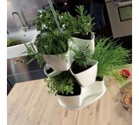 Gardening Naturally Coubi Herb Planter For Kitchen Herbs, Hanging - White