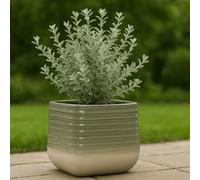 Gardening Naturally Danube Stone Effect Planter In Square Or Round Shape For Indoor Plants, Patios, Borders And Garden Spaces