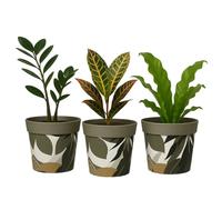 Gardening Naturally Decorative Plant Pot with Recycled Materials - Frost-Proof, Suitable for All Seasons, 15.1cm x 16.8cm Pack of 3 By Flowersea (Autumn Jungle)