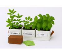Gardening Naturally Dove Grey Complete Kit With Herbs