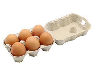 Gardening Naturally Egg Boxes Half Dozen, Recyclable and Biodegradable Pack of 100