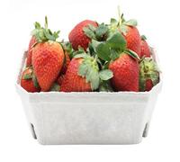 Gardening Naturally Fruit Punnets Biodegradable And Compostable Uk Made - Pack Of 20 250G