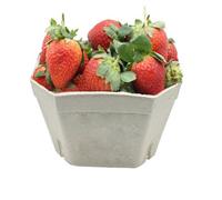 Gardening Naturally Fruit Punnets Biodegradable And Compostable Uk Made - Pack Of 20 500G