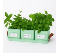 Gardening Naturally Herb Pots on Tray 3 Square Steel Pots, 10.5 cm, with Leather Effect Handles Colour Mint Green