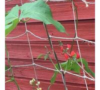 Gardening Naturally Jute Pea And Bean Netting - Natural Brown - (1.8M X 2.7M)