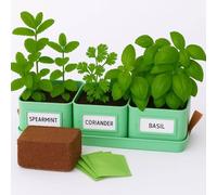 Gardening Naturally Kitchen Herb Pots for Kitchen Set of 3 with Tray, Square Powder Coated Steel Pots, 10.5 cm, Dove Grey, Buttercream, Mint Green (Mint Green Chilli Kit)