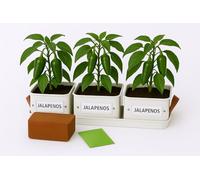 Gardening Naturally Kitchen Herb Pots for Kitchen Set of 3 with Tray, Square Powder Coated Steel Pots, 10.5 cm, Dove Grey, Buttercream, Mint Green (Dove Grey Chilli Kit)