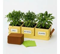 Gardening Naturally Kitchen Herb Pots for Kitchen Set of 3 with Tray, Square Powder Coated Steel Pots, 10.5 cm, Dove Grey, Buttercream, Mint Green (Buttercream Chilli Kit)