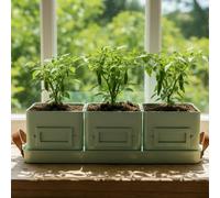 Gardening Naturally Mint Green Complete Kit With Herbs