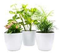 Gardening Naturally Plant Pot Pack Indoor Round White Gloss (Pack of 3, 18 CM Diameter)