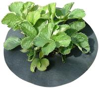 Gardening Naturally Strawberry Mats Collars With Copper - Large - (Pack Of 20)