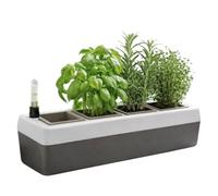 Gardening Naturally Windowsill Self Watering Planter with 4 Pots Indoor Herb and Salad Grower with Water Level Indicator