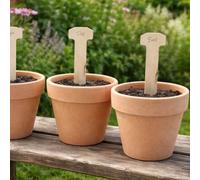 Gardening Naturally Wooden Plant Labels T Shape Greenhouse Accessories