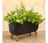 Gardening Naturally Zinnia Trough Planter For Indoor And Outdoor Use Anthracite