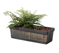 Gardenised Outdoor and Indoor Rectangle Trough Plastic Planter Box, Vegetables or Flower Planting Pot, Brown Small, S