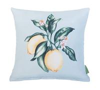 Gardenista Garden Decorative Scatter Cushion | Indoor Water Resistant Outdoor Printed Cushions 45x45 cm | Soft Hollowfibre Filled Patio Furniture Pillow | Easy to Clean Cushions (Lemon Blue Big)