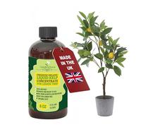GARDENNOVA Premium Organic Seaweed & Kelp Superfood for Lemon Plants - 8 oz - Liquid Kelp Fertilizer Concentrate (Makes 25 Litres)