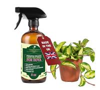 GARDENNOVA Professional Organic Liquid Kelp Spray for Hoya Plants - 8 oz - Ready-to-Use Fully Organic Seaweed & Kelp Fertilizer Mist