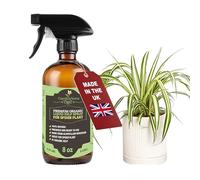 GARDENNOVA Professional Organic Liquid Kelp Spray for Spider Plant Plants - 8 oz - Ready-to-Use Fully Organic Seaweed & Kelp Fertilizer Mist