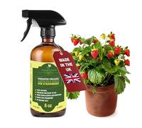 GARDENNOVA Professional Organic Liquid Kelp Spray for Strawberry Plants - 8 oz - Ready-to-Use Fully Organic Seaweed & Kelp Fertilizer Mist