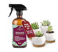 GARDENNOVA Professional Organic Liquid Kelp Spray for Succulents & Cacti Plants - 8 oz - Ready-to-Use Fully Organic Seaweed & Kelp Fertilizer Mist