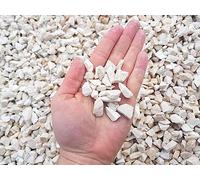 Gardens Decorative Cream Polar WHITE Coloured Stones Pebbles Cobbles Slate Paddlestones Gravel Chippings Aggregate Various Sizes 1kg-1000kg (40)