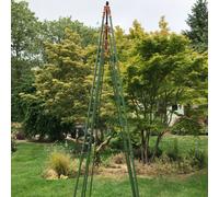 Gardenskill Bean Buddy Heavy Duty Runner Bean Frame & Climbing Plant Support Grow House 1.2X2.4M H