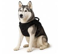 GardenSkill Dog Harness Large - No Pull Harness For Nervous Dogs With Handle & Lead Clip - Puppy Training Aid - Adjustible, No Choke Design