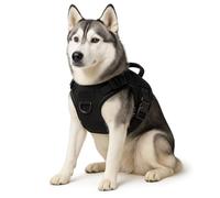 GardenSkill Dog Harness | No Pull Harness for Nervous Dogs with Strong Adjustible Buckles, Handle & Lead Clip | Training & Behaviour Aid for Tugging Puppies | Padded Pet Safe No-Choke Design (Large)