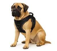 GardenSkill Dog Harness | No Pull Harness for Nervous Dogs with Strong Adjustible Buckles, Handle & Lead Clip | Training & Behaviour Aid for Tugging Puppies | Padded Pet Safe No-Choke Design (XL)