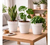 GardenSkill Healthier Houseplants Plant Pot Set, Pack Of 3 White Planters With Drainage Disc & Stem Support For Monstera Orchid Indoor Plants