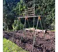 GardenSkill Heavy Duty Tomato Cage Planter & Extendable Plant Support Trellis Frame For Grow Bags Greenhouse Raised Bed Garden Pots