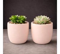 GardenSkill Indoor Plant Pot 10cm / 4", Clay Colour, 2pcs | Small Scandi Style Modern Planter + Drip Tray with Textured Matte Finish | Flowerpot for Succulents Herbs Cactus Houseplants