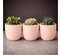 GardenSkill Indoor Plant Pot 12.5cm / 5", Clay Colour, 3pcs | Small Scandi Style Modern Planter + Drip Tray with Textured Matte Finish | Flowerpot for Succulents Herbs Cactus Houseplants