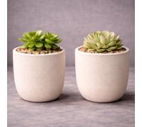 GardenSkill Indoor Plant Pot 12.5cm / 5", Mocha | Small Scandi Style Modern Planter with Drip Tray with Textured Matte Finish | Flowerpot for Succulents Herbs Cactus Houseplants